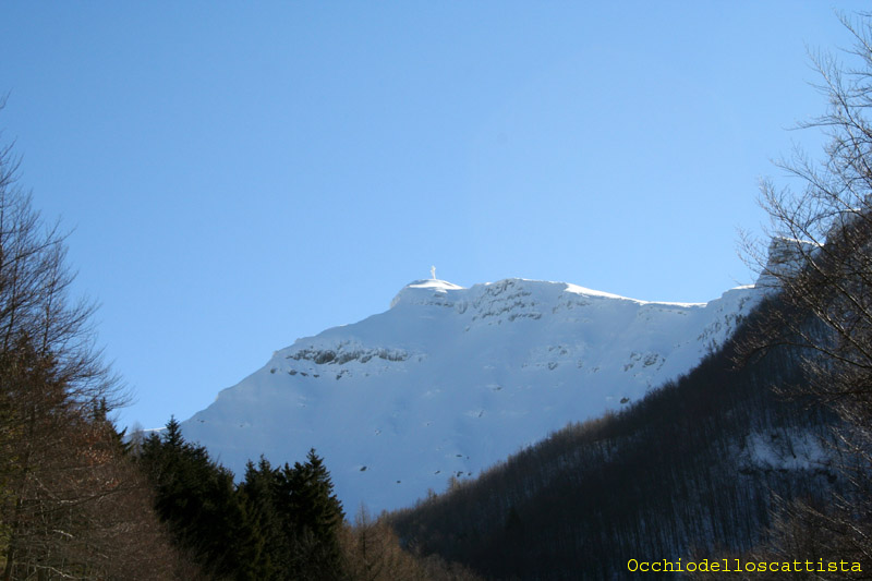  Image name: 03-corno alle scale.jpg 
 width: 800 pixel 
 height: 533 pixel 
 Size: 84994 bytes 
 Click to enlarge 